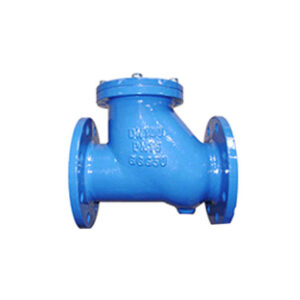 Water Works Valves & fittings